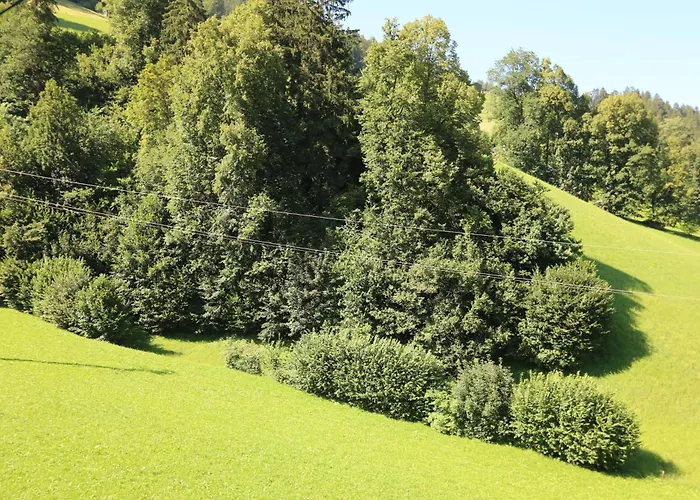 Schoberhof שוונדאו